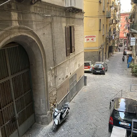 Toledo Regolax