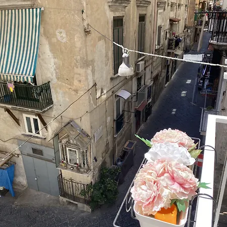 Toledo Regolax ナポリ